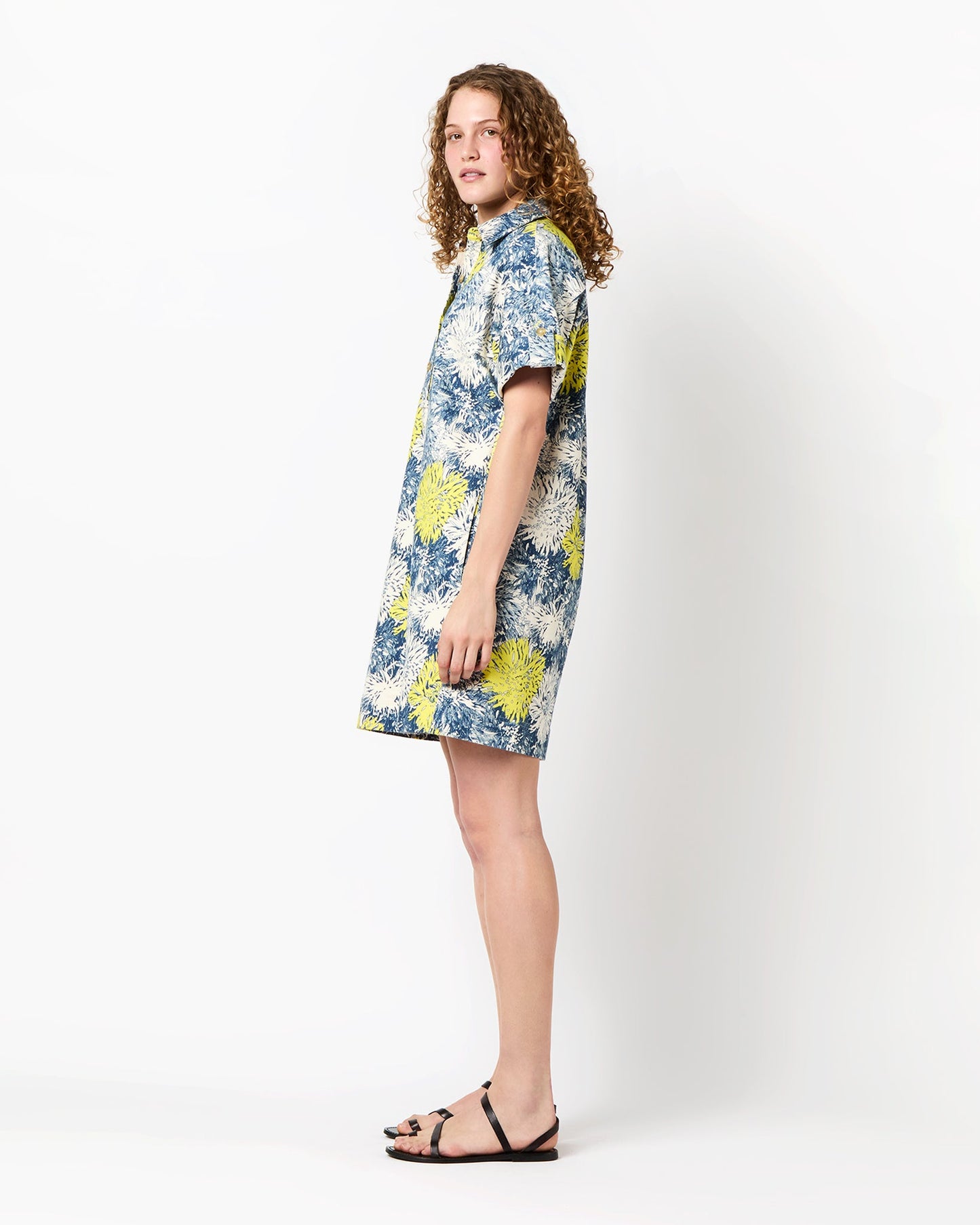 Molly Dress in Natural/Blue/Lemon Floral Stretch Denim